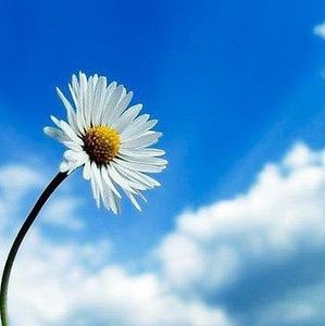 Meet your Posher, Stella